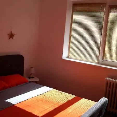 Stoica Bedroom With Private Bath Apartment *